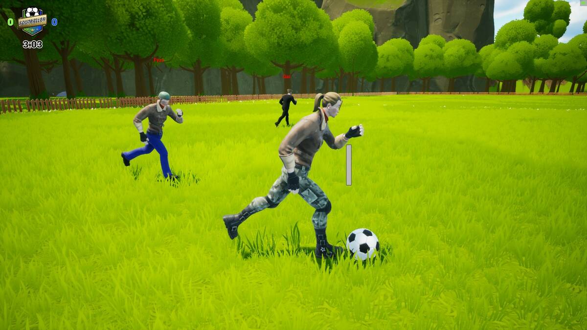 Pertandingan Sepak Bola Cat Griz
