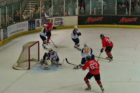 Hoki Es Basingstoke Bison